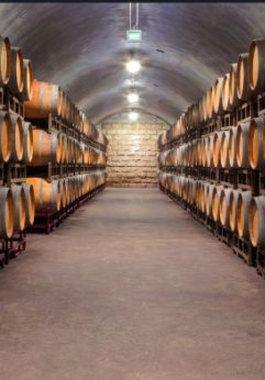 Port wine cellars